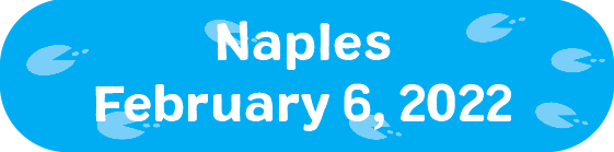 Naples Date Button